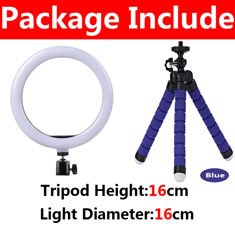12" LED Ringlicht mit Stativständer – Dimmbares USB Fülllicht für YouTube & Live